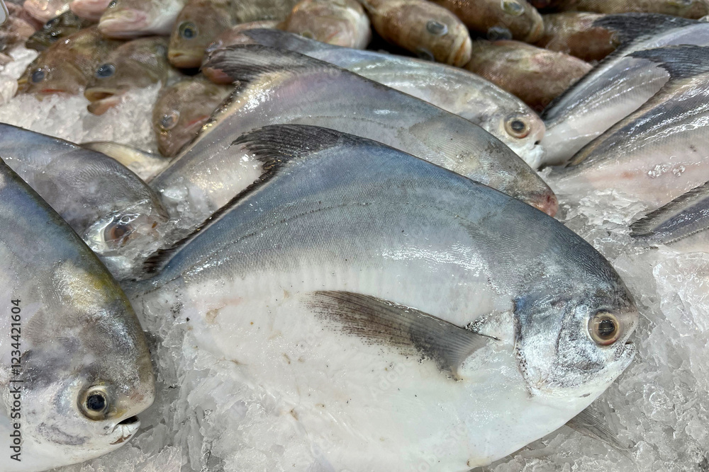 Fototapeta premium Fresh fish on ice at market
