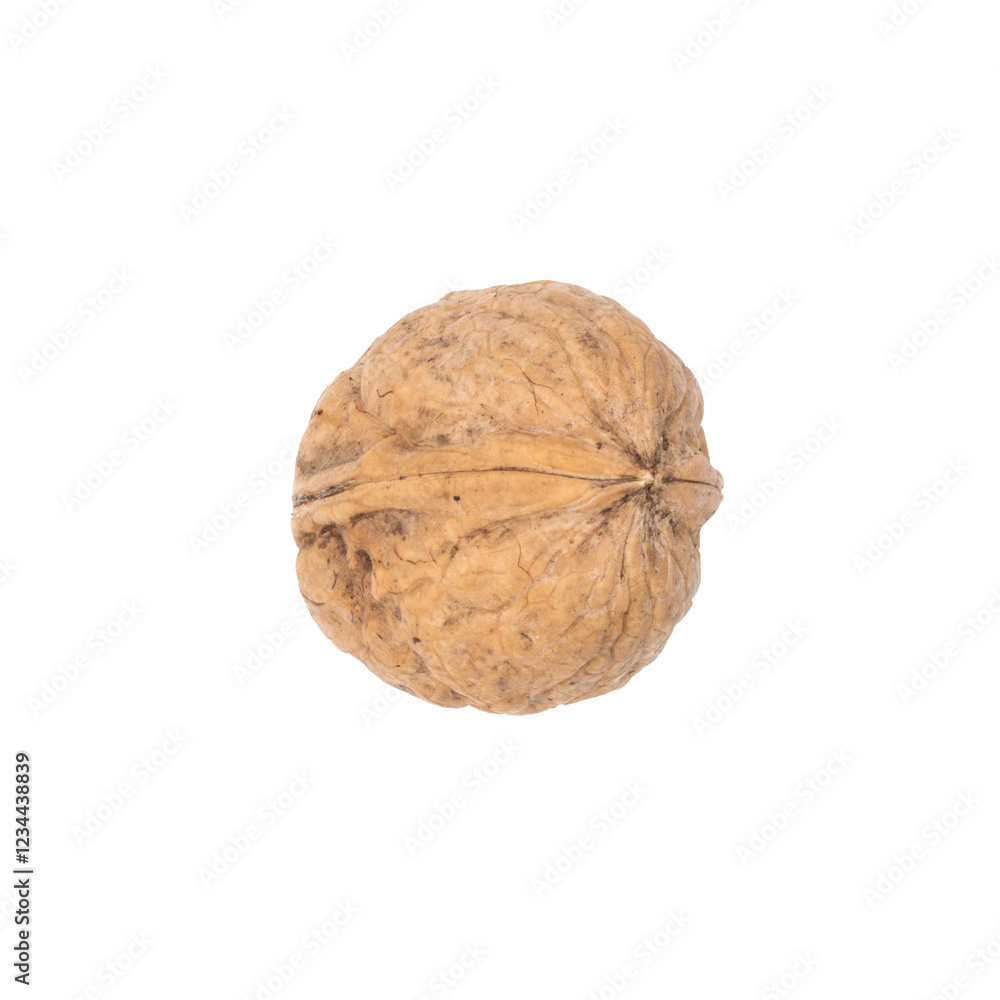 walnut walnut