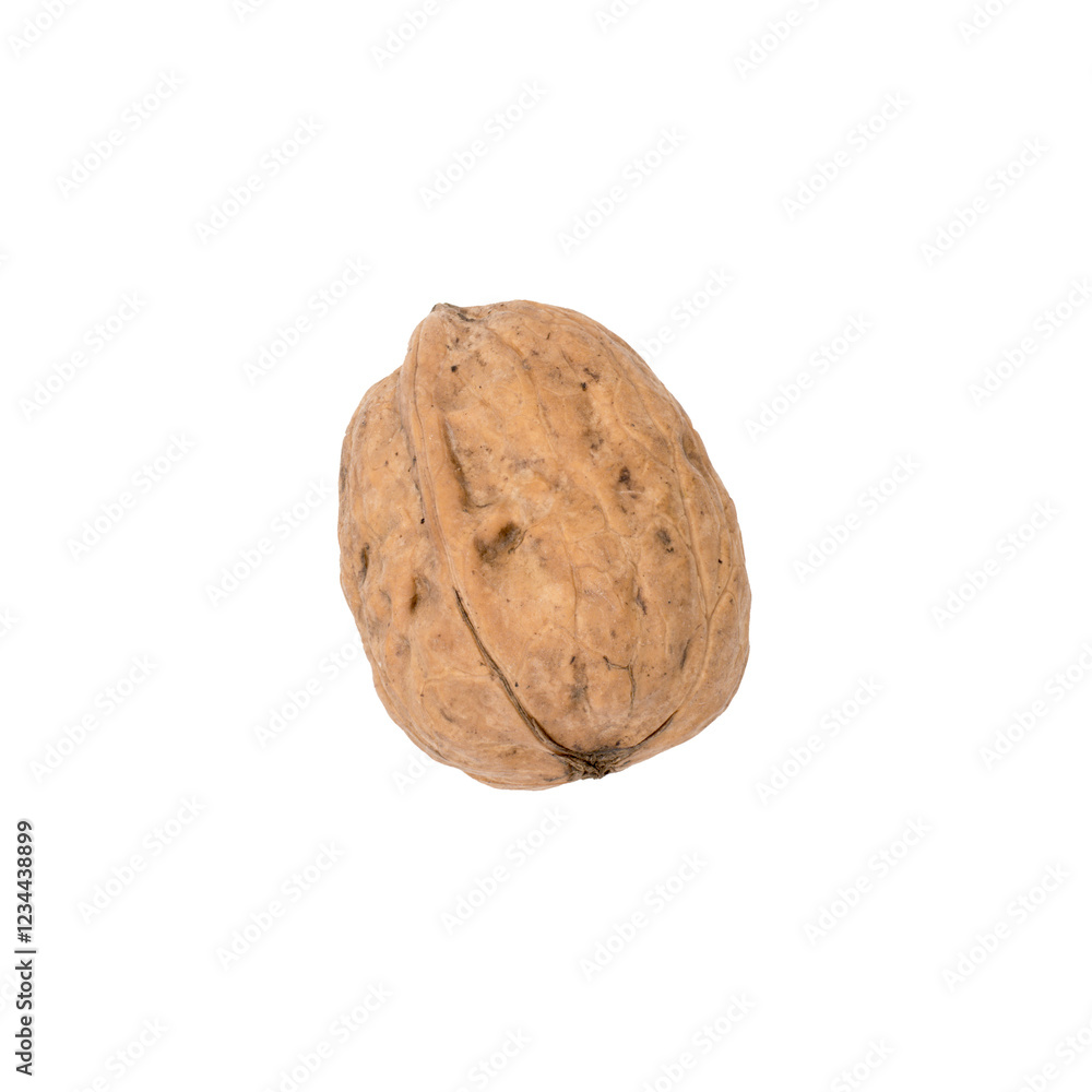 single walnut single walnut