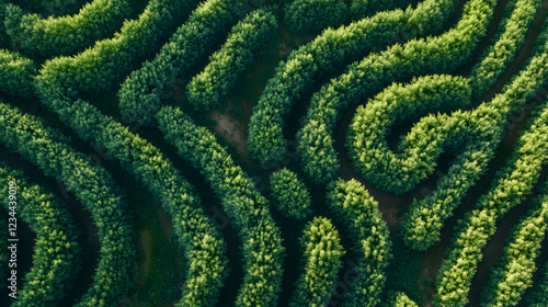 The maze of Environmental Product Declarations (EPDs), where transparency reigns supreme and informed decisions pave the way towards a greener and sustainable marketplace photo