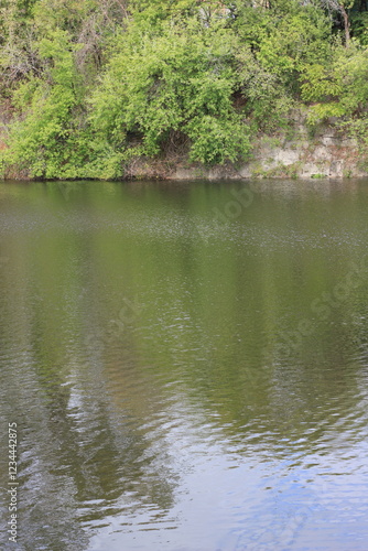 river in the forest