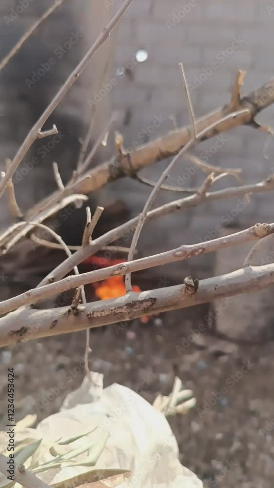 Tree branches frame a blurred view of a fire burning outdoors near a brick wall. Depicts a rustic scene with contrasting elements of nature and fire.
Tree branches frame a blurred view of a fire burning outdoors near a brick wall. Depicts a rustic scene with contrasting elements of nature and fire.