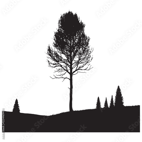 Aspen Tree Silhouette - Black and White Nature Clipart for Designers - Aspen Tree Vector - Aspen Tree Illustration - Minimalist Aspen Silhouette - Aspen Vector - Aspen Digital Art
