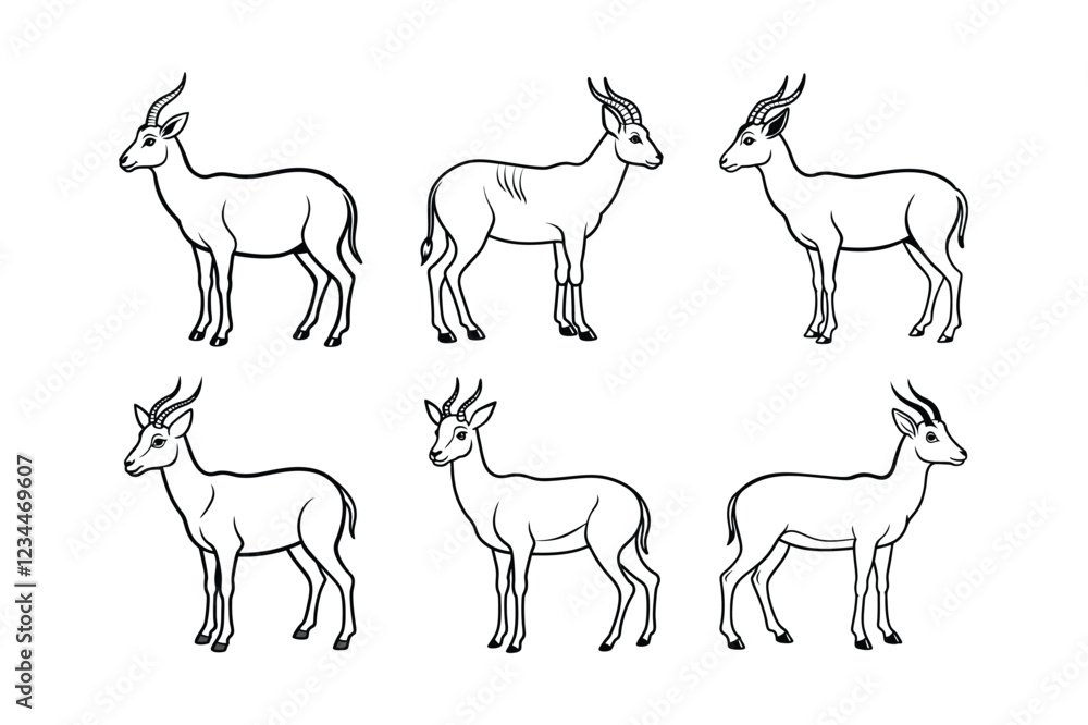 Tibetan Antelope (Pantholops hodgsonii) animal design, labeled line art vector art illustration. Tibetan Antelope (Pantholops hodgsonii) animal design, labeled line art vector art illustration.