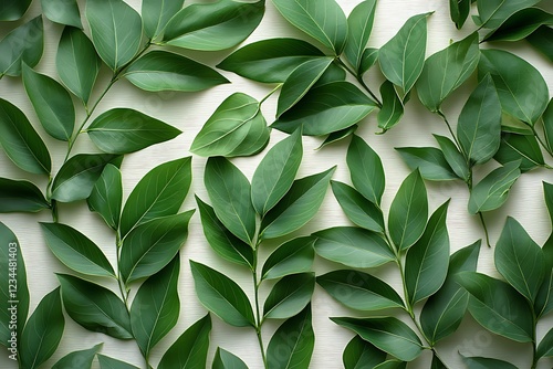 Wallpaper Mural Lush Green Leaves Arranged On A Light Background Torontodigital.ca