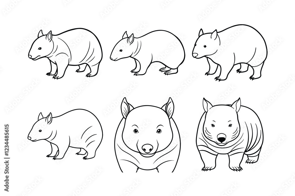 Fototapeta premium Wombat (Vombatus ursinus) animal design, labeled line art vector art illustration.