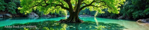 Un claro con agua cristalina y un gran arbol en el centro, nature, water