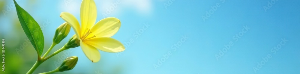 A delicate lemon flower with its matching green leaves rests against a serene blue sky, earthy, soothing, natural A delicate lemon flower with its matching green leaves rests against a serene blue sky, earthy, soothing, natural