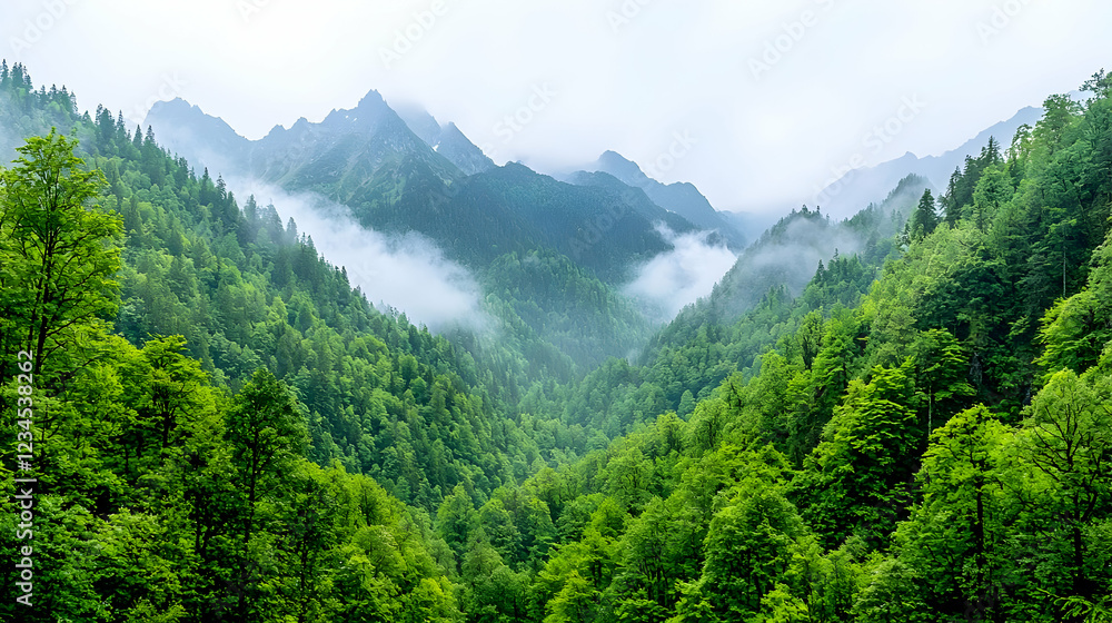 Fototapeta premium Misty mountain valley, lush green forest, scenic view, nature background, travel poster