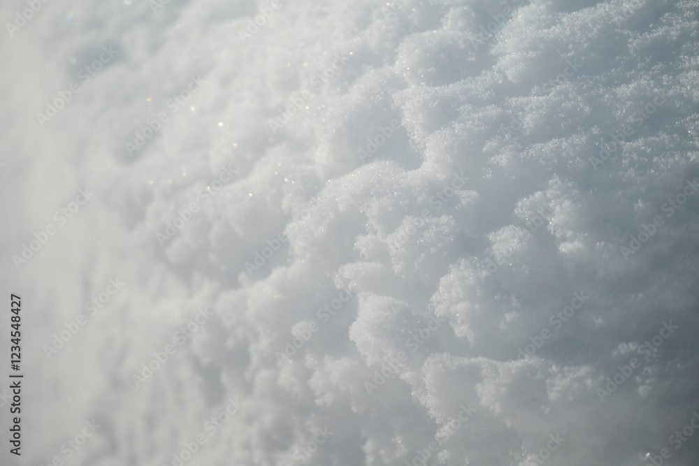 snow texture in the forest snow texture in the forest