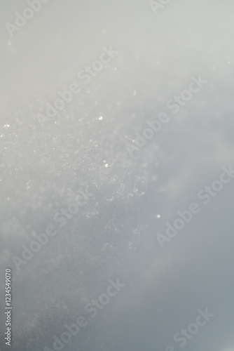 snow texture in the forest