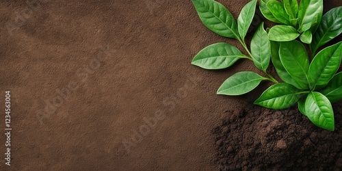 Green Shoots of Growth: Fre...