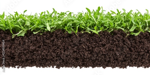 Grass and Soil Seamless Tex...