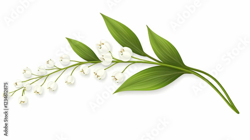Lily of the valley sprig, delicate white flowers and green leaves, isolated on white background, perfect for wedding invitations or floral designs