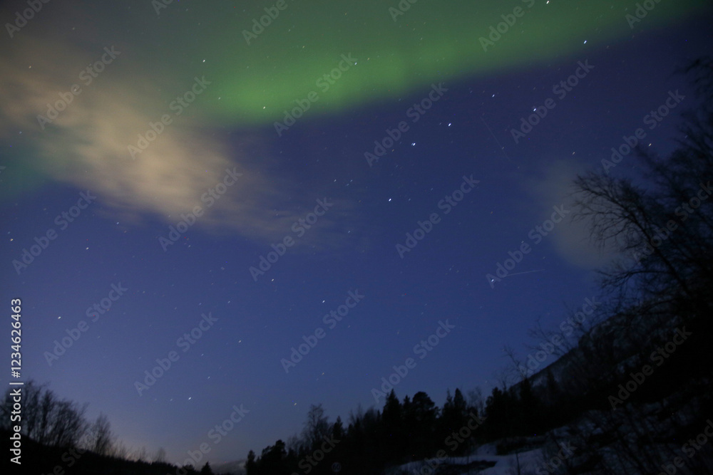 Fototapeta premium Northern lights near Alta, Norway. 27th January 2025.