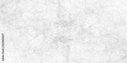 Abstract earth cracks texture on isolate vector background, Black and white old dirty texture, white and black cracks Transparent texture with vector marble pattern background.