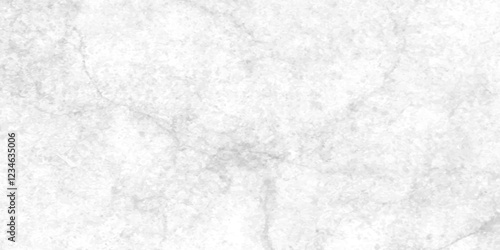 Abstract earth cracks texture on isolate vector background, Black and white old dirty texture, white and black cracks Transparent texture with vector marble pattern background.