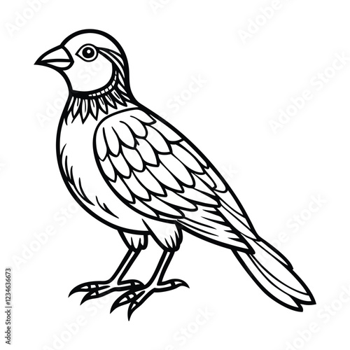 vector illustration of a bird