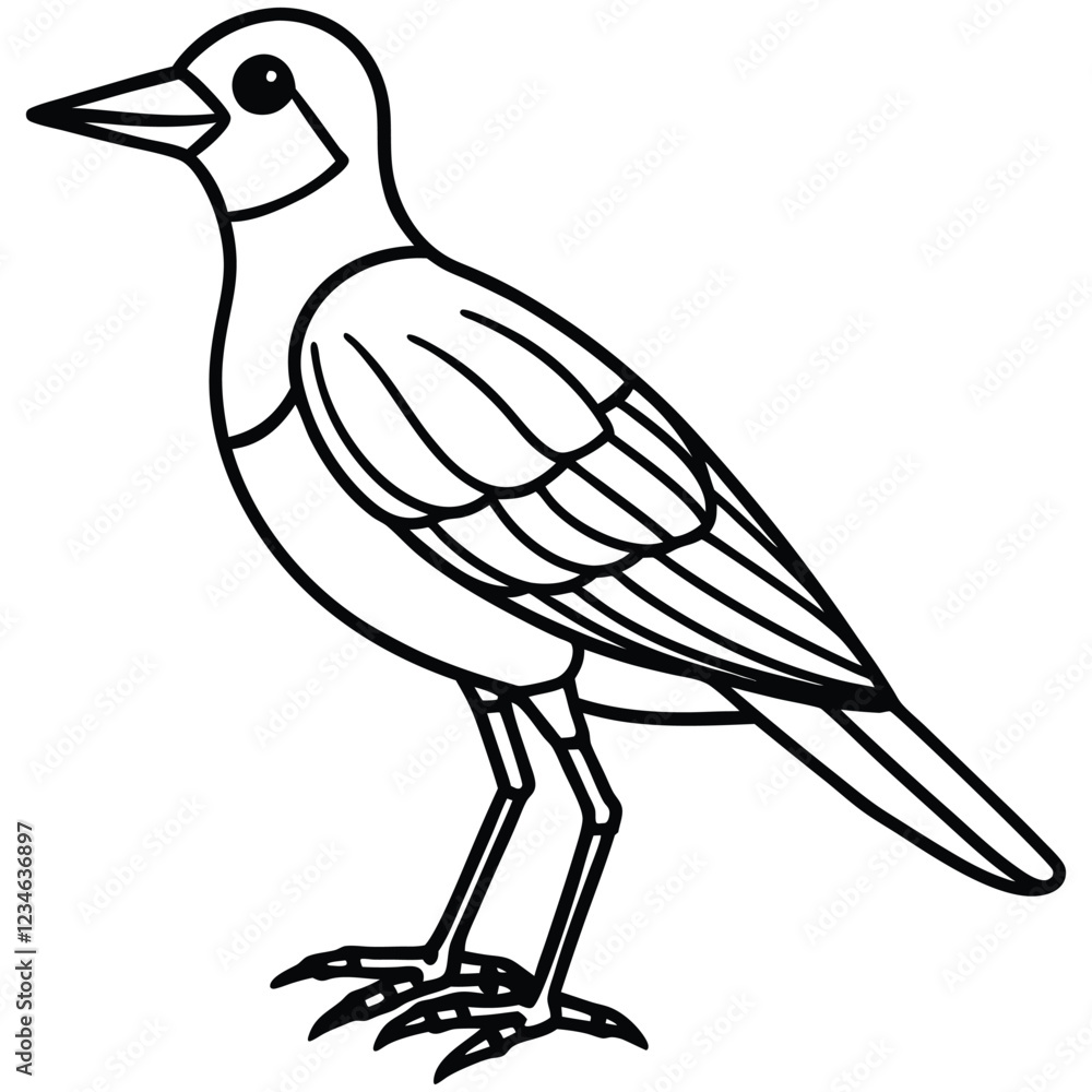 Fototapeta premium bird on a branch vector illustrator