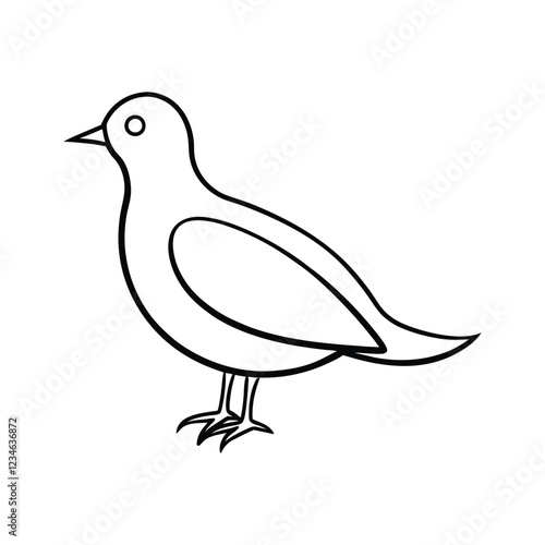 vector illustration of a bird