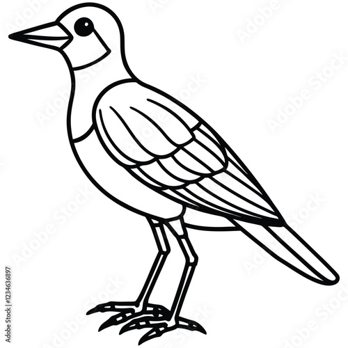 bird on a branch vector illustrator