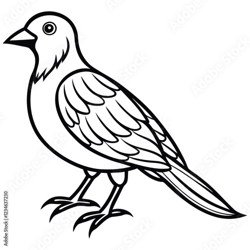 illustration of a bird vector illustrator