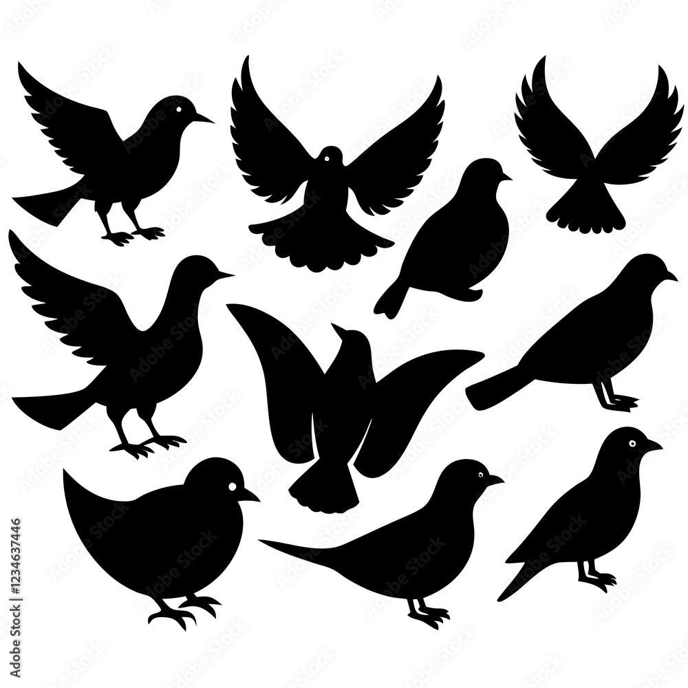 Fototapeta premium collection of birds