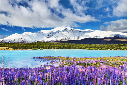 Lake Tekapo, New Zealand