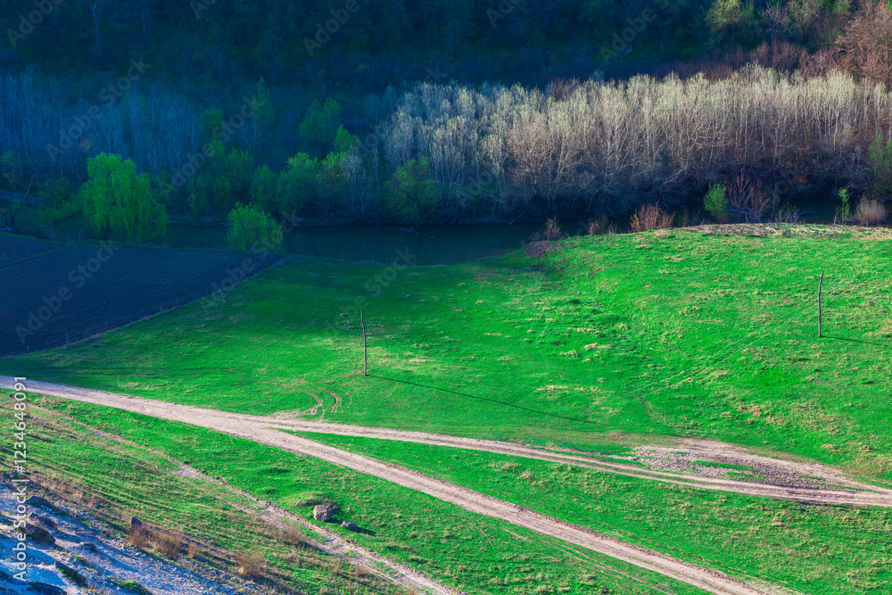 Spring landscape with a path cutting through a grassy field, bordered by a forested area with trees in background. Sunlight bathes the rolling hills illuminating a country roads and fields