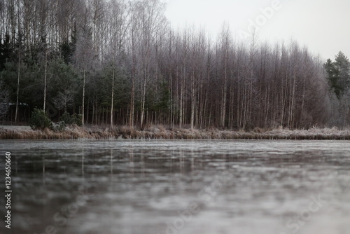 kalter Morgen an gefrorenem See