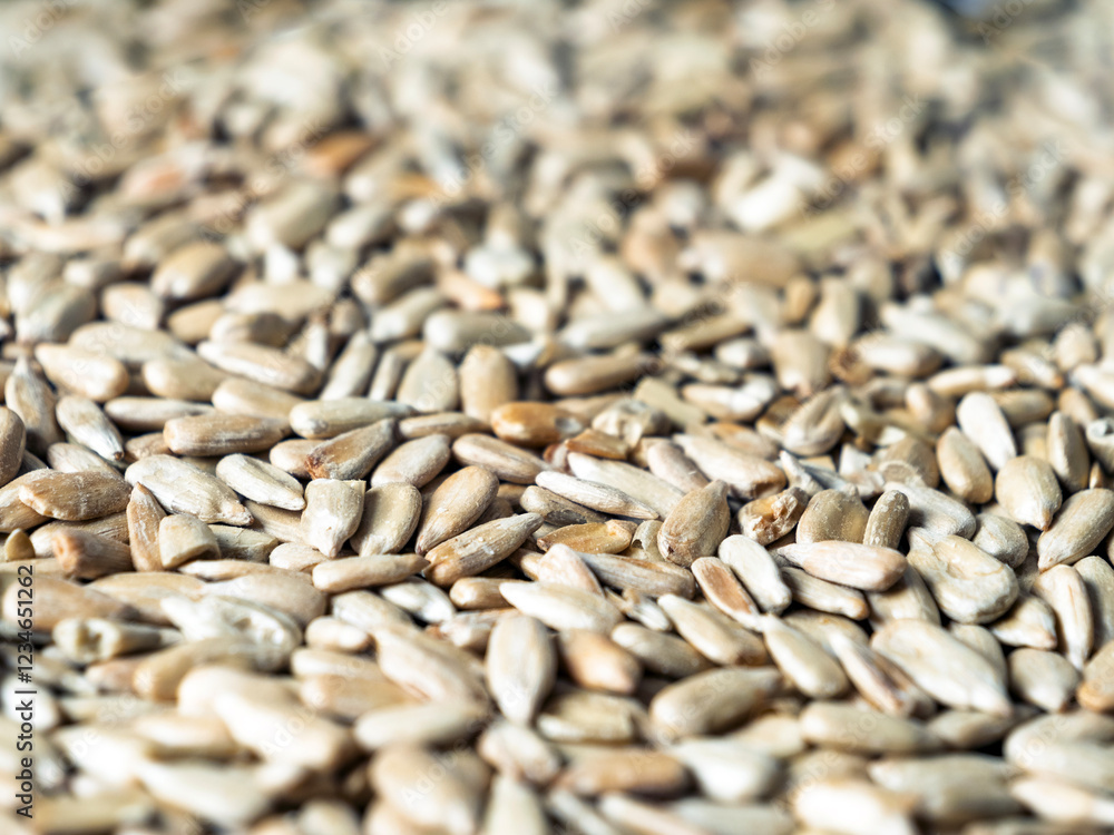 Obraz premium Pattern of roasted sunflower seeds, close up