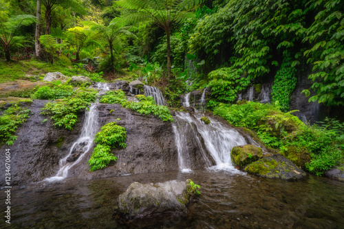 Experience the breathtaking beauty of a waterfall cascading over rocks, surrounded by lush greenery in a tranquil forest, perfect for adventure and exploration, Bali, Indonesia