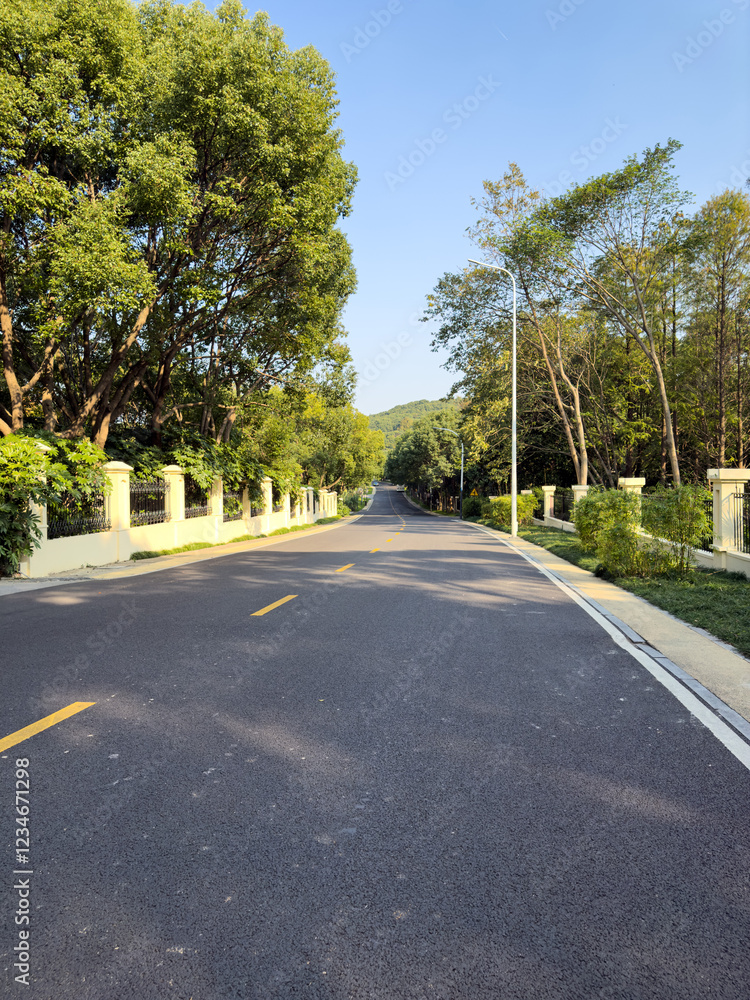 Serene Tree-Lined Roadway Under Clear Blue Sky Serene Tree-Lined Roadway Under Clear Blue Sky