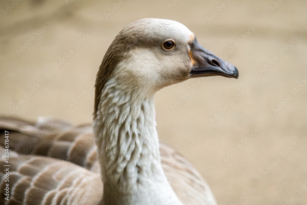 Portrait of a Goose Showcasing Unique Features and Colors. Generative AI Portrait of a Goose Showcasing Unique Features and Colors. Generative AI