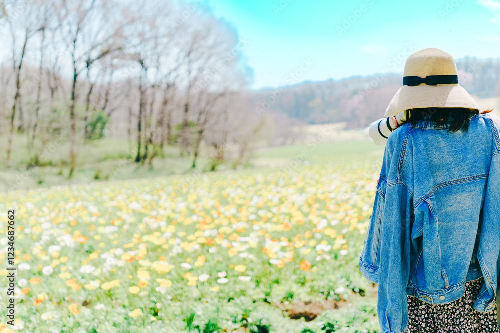 Fototapeta premium 桜の花を撮る女性