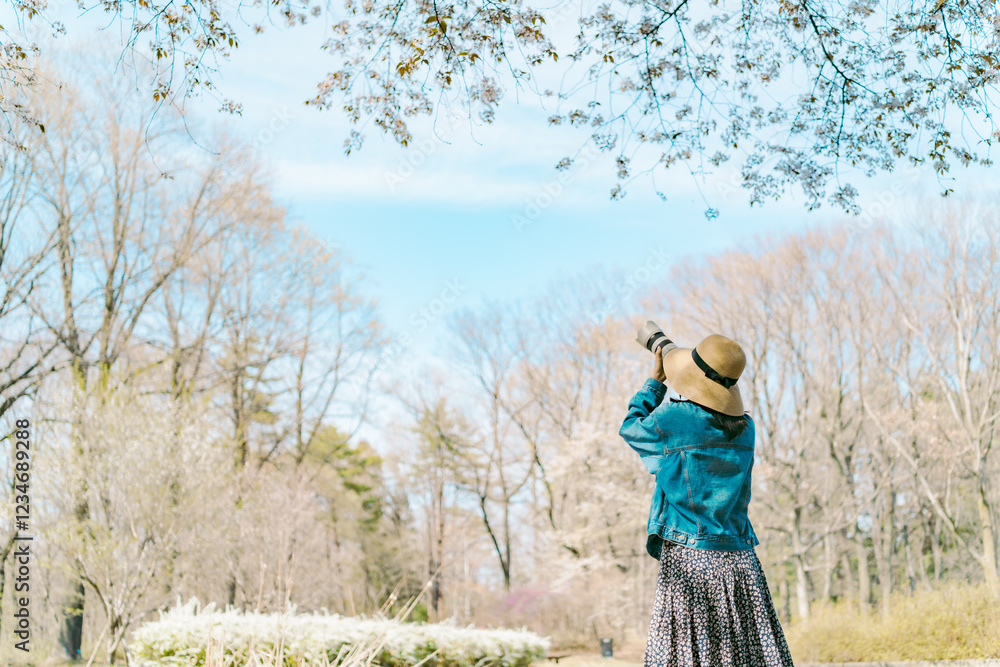 桜の花を撮る女性 桜の花を撮る女性