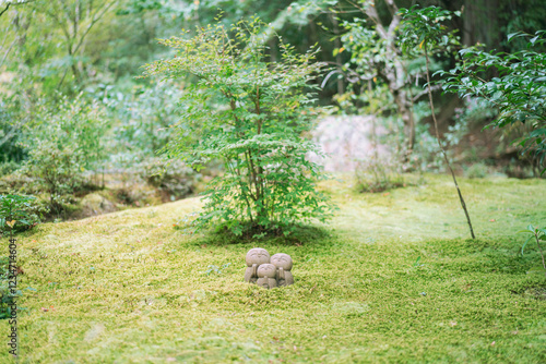 Cute structure garden