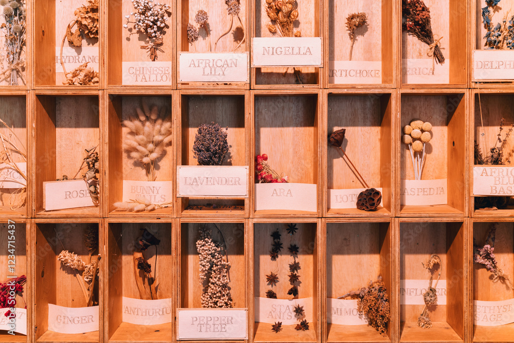 Obraz premium Plant samples