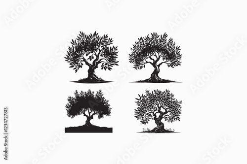 Olive tree vector silhouette black and white image made by adobe illlustrator..eps