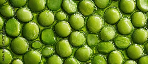 Green peas close-up texture on a blurred background with soft lighting Copy Space photo