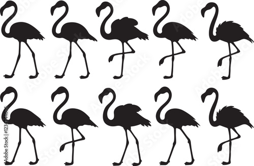 A variant style of flamingo silhouette vector, flamingo bird silhouette black, flat birds icon illustration design, isolated on a white background