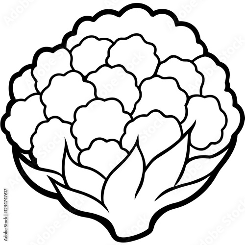 Geometric Cauliflower Art Illustration