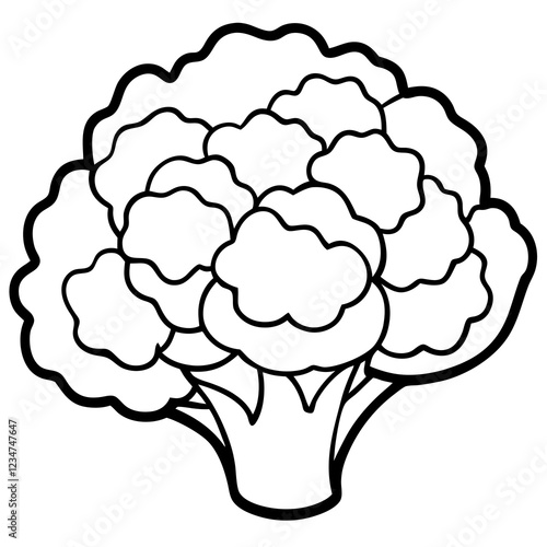 Geometric Cauliflower Art Illustration