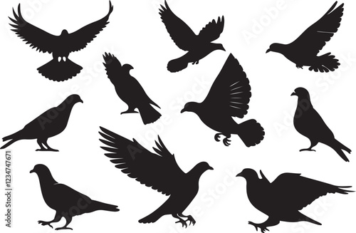 A variant style of pigeon silhouette vector, flying bird silhouette, flat birds icon illustration design, isolated on a white background.
