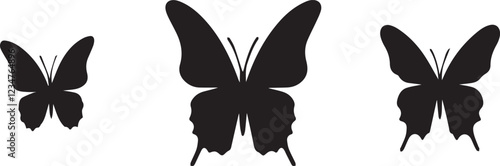 Photography butterfly vector