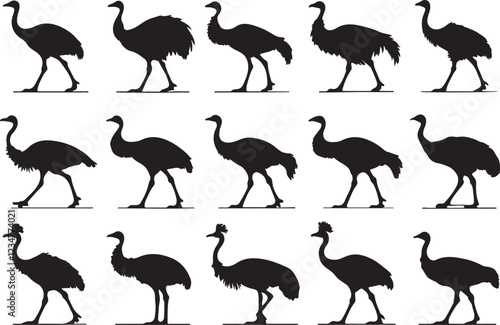 A variant style of emu silhouette vector, emu bird stand and walking silhouette, flat birds icon illustration design, isolated on a white background.