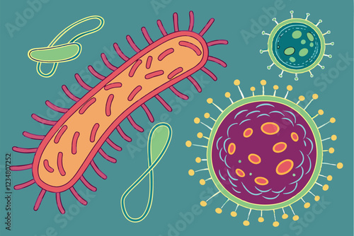  Microscopic bacteria and viruses, colorful microorganisms, scientific illustration, vibrant colors, detailed cellular structures, rod-shaped bacteria, spherical viruses, organic shapes, teal backg