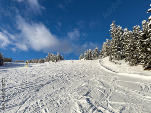 Plan de Corones, Italy. Amazing view of the ski slopes after a snow fall. Kronplatz best ski resort photo