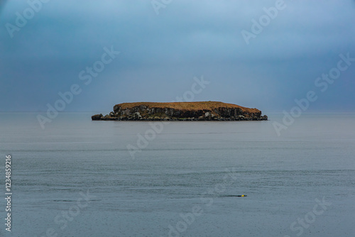 Obraz na płótnie A small island off the coast of Hofn in eastern Iceland. w salonie