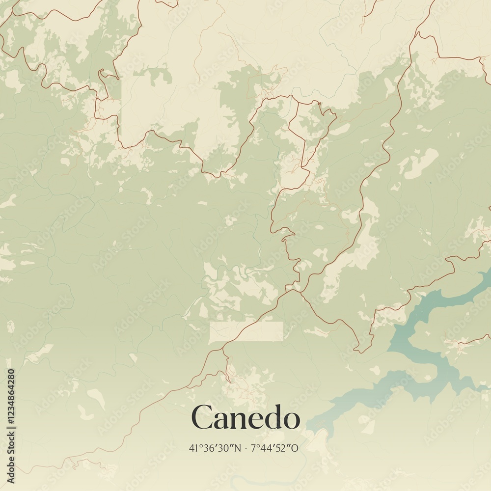 Obraz premium Vintage map of Canedo, Portugal. 